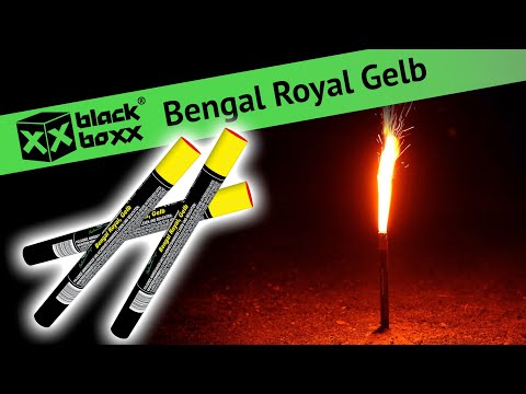BlackBoxx Bengal Royal / Bengal Feuer