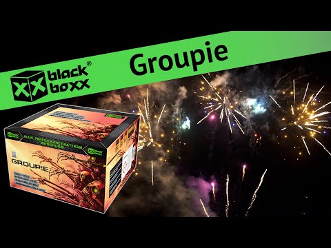 BlackBoxx Groupie