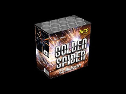 Nico Golden Spider