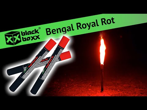 BlackBoxx Bengal Royal / Bengal Feuer