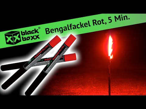 BlackBoxx Bengal Royal / Bengal Feuer